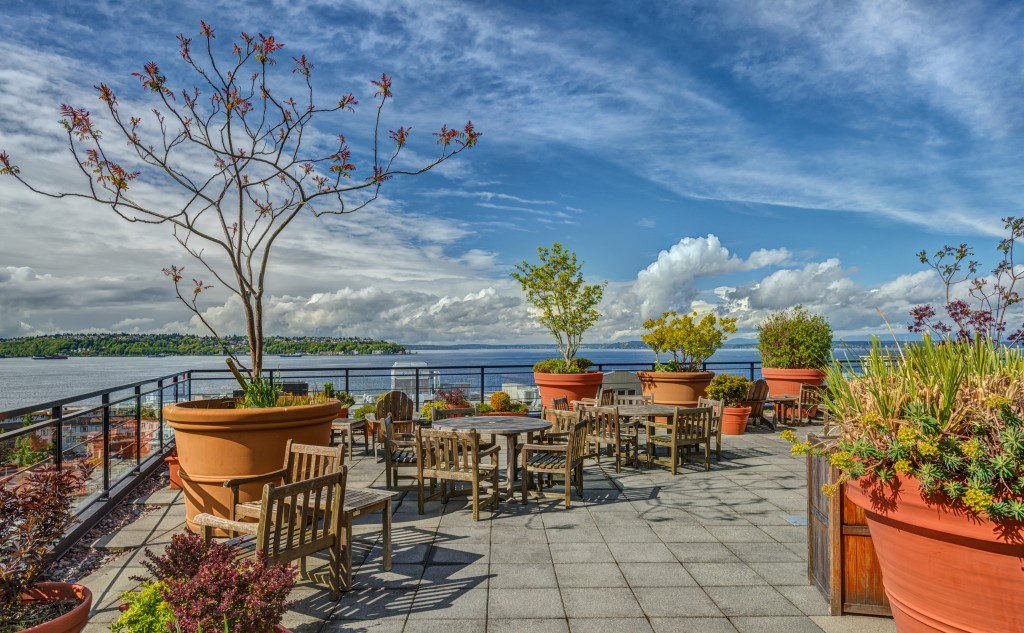 patio view