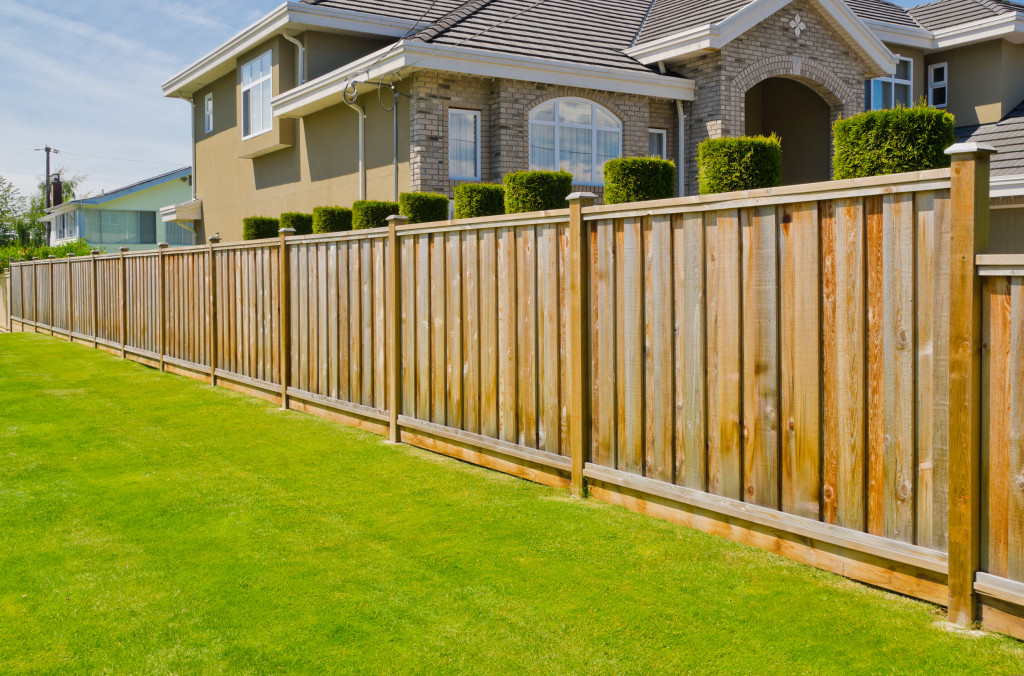 lawn with a wooden fence
