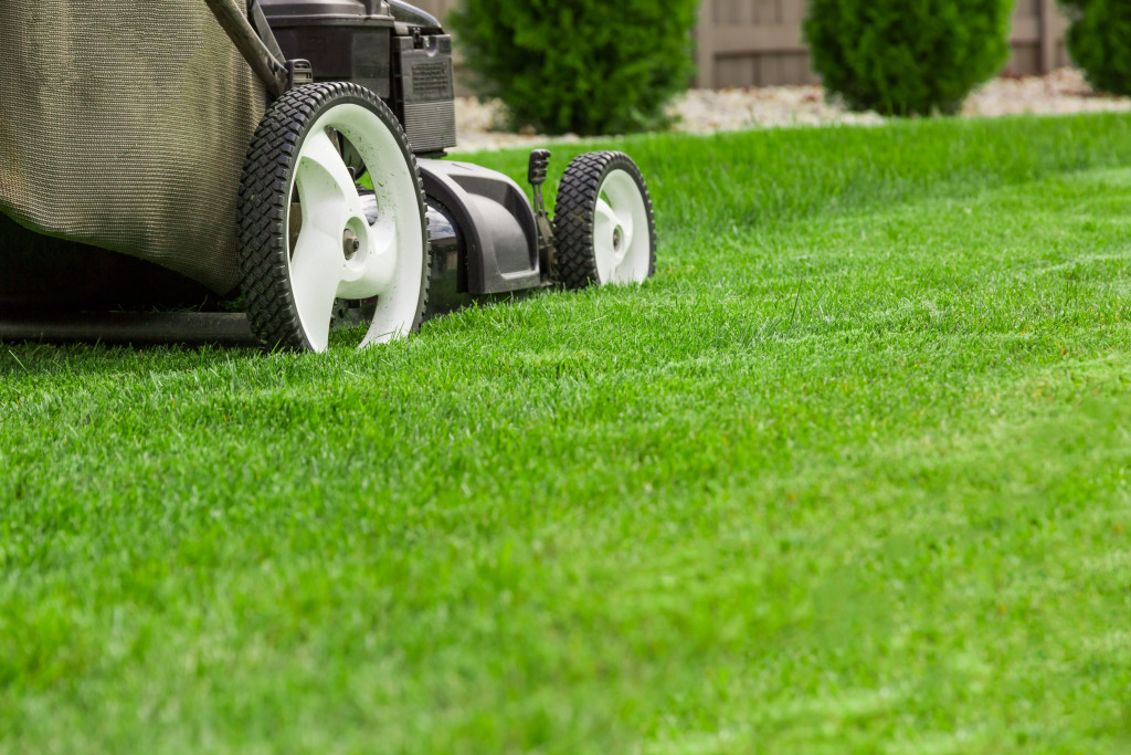 lawn mowing